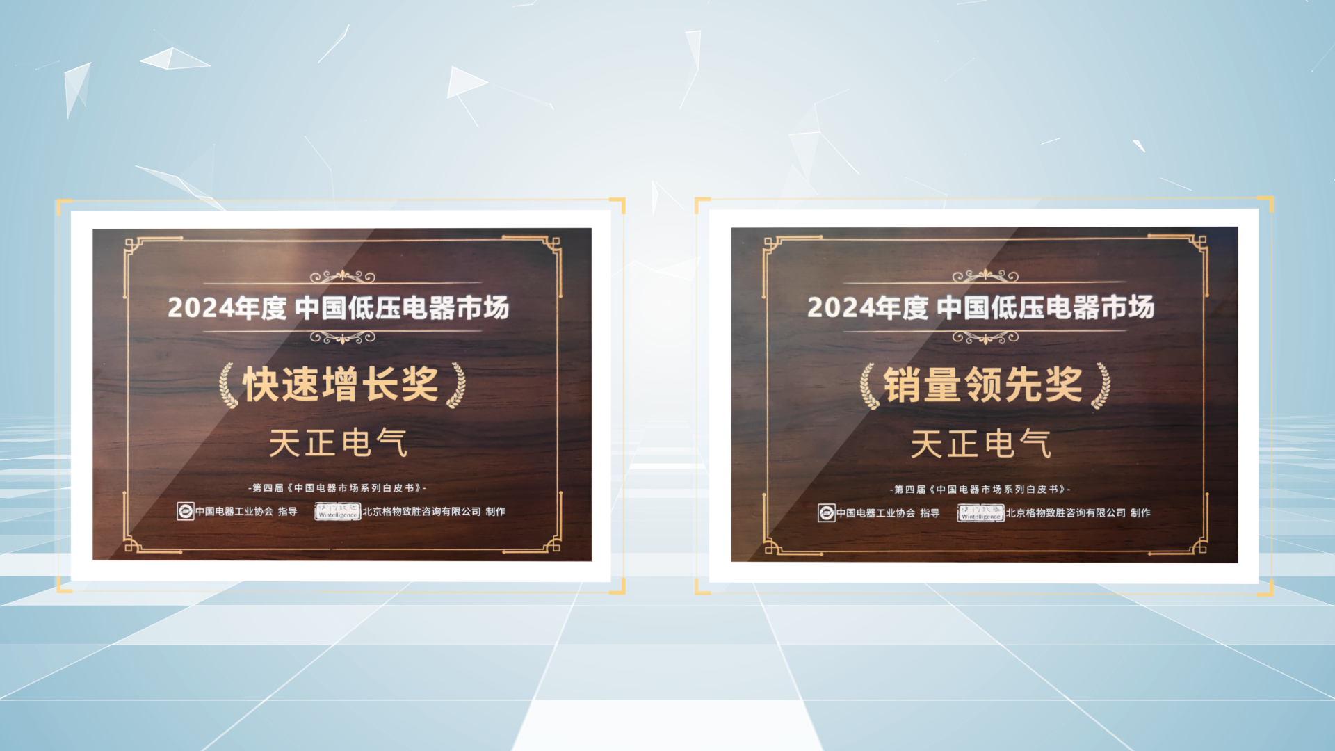 销量领先、快速增长丨爱游戏tv游戏中心荣膺2项行业年度大奖